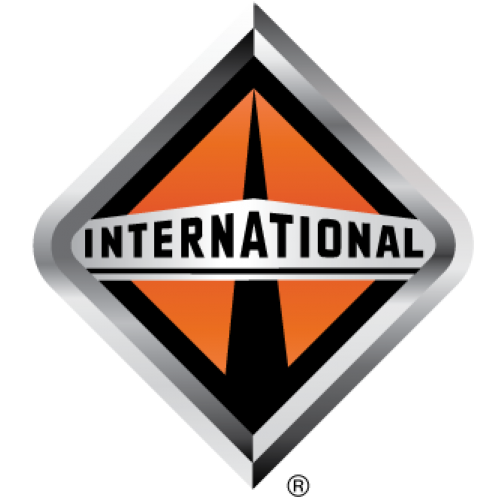 Logo international